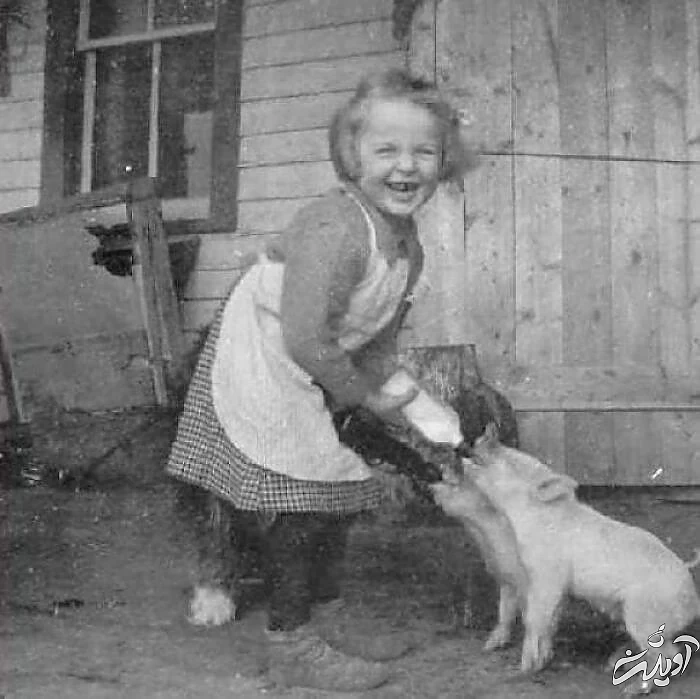 بامزهترین قابهایی که از دل تاریخ ظهور کردهاند